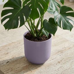 Lock Pot Elho Jazz Round Lavender Lilac - D23 (30568)