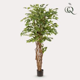 kunstplant - Ficus liana - Vioolbladplant (8720872542249)