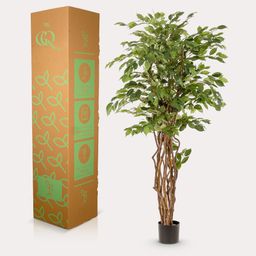 kunstplant - Ficus liana - Vioolbladplant (8720872542249)