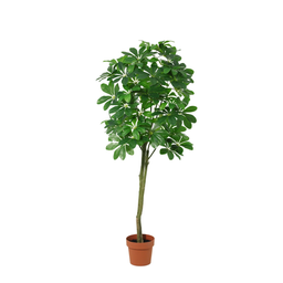 ARTIFICIAL Pachira Aquatica (51793)