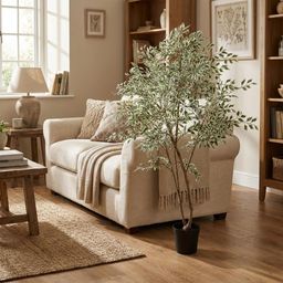 ARTIFICIAL Ficus benjamina variegata (51791)