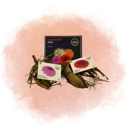 Flowerbulbs amsterdam Mix Gerard's darlings, Dahlia Natal & Dahlia Blue Bell, 2 stuks (8720938490521)