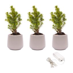 Mini kerstboom set 3 - Inclusief 3x pot Joey grijs + 20 led lights (8720872023502)