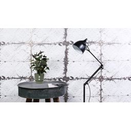 Anthurium Black Love In Transparant Sleeve (28824)