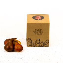 Flowerbulbs amsterdam Van Eijk - 15 bloembollen - Maat 12+ (8720938490132)