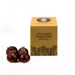 Flowerbulbs amsterdam China Pink- 10 bloembollen - Maat 14/15 (8720938490040)