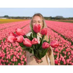 Flowerbulbs amsterdam Pink Impression - 15 bloembollen - Maat 12+ (8720938490200)