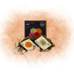 Flowerbulbs amsterdam Mix Orange Pride, Dahlia Playa Blanca & Dahlia Ralphie, 2 stuks (8720938490484)