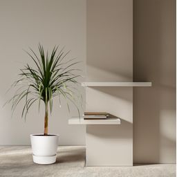 Dracaena Draco - 120cm - ø30 (8721055697336)