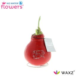 No Water Flowers Waxz® Message Printz Valentijn (22894)