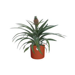 Ananas Mi Amigo 12 Cm Pot in ELHO b.for soft rond 14cm brique (21472)