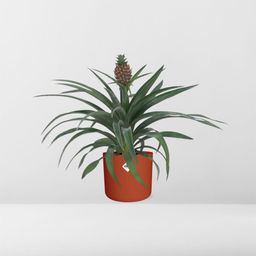 Ananas Mi Amigo 12 Cm Pot in ELHO b.for soft rond 14cm brique (21472)