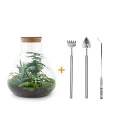 DIY Planten terrarium met licht - Sam XL Green - Ø 30 cm ↑ 32 cm - Rake + Shovel + Tweezer (8720726958042)