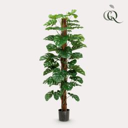 Monstera Deliciosa - kunstplant - 180 cm (8720872540474)