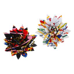 Echeveria Coloured Splash Black&White Mix - 2 stuks (25809)