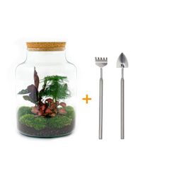 DIY Planten terrarium met licht - Milky - Ø 21 cm ↑ 30 cm - Rake + Shovel (8720726958134)