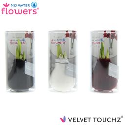 No Water Flowers Velvet Touchz Classic Mix in Koker - 3 stuks - Ø7 cm (26978)