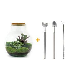 DIY Planten terrarium (met licht) - Teddy - Ø 25 cm ↑ 26,5 cm - Rake + Shovel + Tweezer (8720726958394)