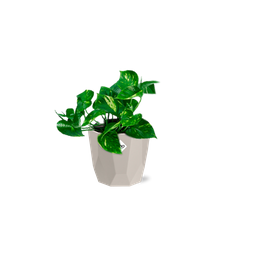 Epipremnum Pinnatum ‘Aureum’ in ELHO b.for rock 14 cm warm grey (21605)