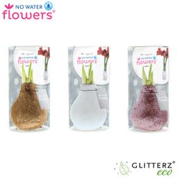 No Water Flowers Glitterz Charm Mix in Koker - 3 stuks - Ø7 cm (26831)