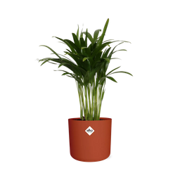 Areca Palm in ELHO b.for soft rond 14cm brique (21499)