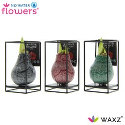 No Water Flowers Waxz Formz Industrial Mix - 3 stuks - Ø7 cm (27000)