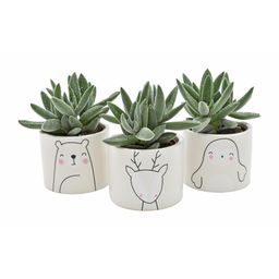 Tarantula + Glitter in Winter Animals - 3 stuks (25804)