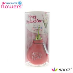 No Water Flowers Waxz® Message Printz Valentijn In Koker (22974)