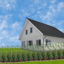 Plants by frank 25 grote Schijnhulst planten voor 10 strekkende meter haag | ↨ 100-125 cm in 12 liter pot (8721001420988)