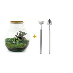 DIY Planten terrarium (met licht) - Teddy - Ø 25 cm ↑ 26,5 cm - Rake + Shovel (8720726958387)