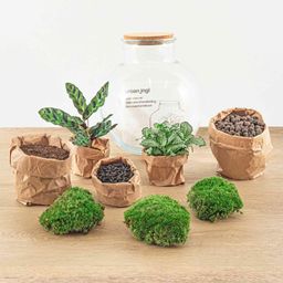 DIY Planten terrarium (met licht) - Teddy - Ø 25 cm ↑ 26,5 cm - Rake + Shovel (8720726958387)