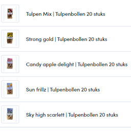 Kh bloembollen Verschillende zakjes tulpenbollen (25788)