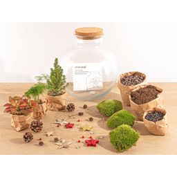 Bolder Bob Bonsai Christmas - DIY (23488)