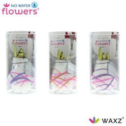 No Water Flowers Waxz Art Karel Appel in Koker - 3 stuks - Ø7 cm (26982)