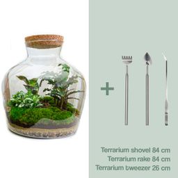 DIY Planten terrarium met licht - Fat Joe - Ø 29 cm ↑ 30 cm - Rake + Shovel + Tweezer (8720726958530)