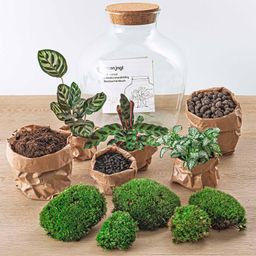 DIY Planten terrarium met licht - Fat Joe - Ø 29 cm ↑ 30 cm - Rake + Shovel + Tweezer (8720726958530)