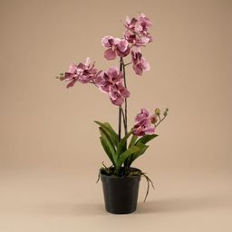Orchidee Vanda kunstplant 60 cm - Oudroze - In pot - Artificial plant (8714344331912)