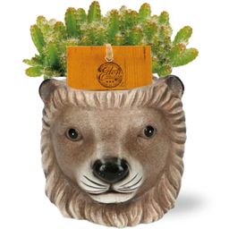 Hylocereus Undatus - Planter Leeuw D11/13x10cm - Bruin (42532)