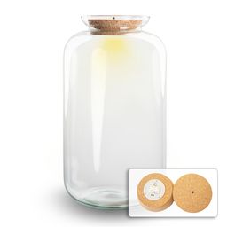 Terrarium fles met verlichting - Sven XL - Ø 23 cm ↑ 43 cm (8717336483354)