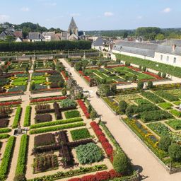 Buxus Haag - BetterBuxus Babylon Beauty - Resistant tegen de Buxus schimmel - 12 planten - 2 strekkende meter - pot 13cm hoogte 30-35 (8720862103559)