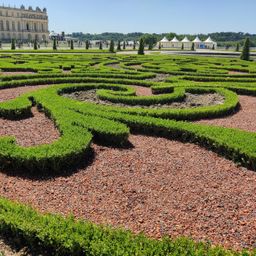 Buxus Haag - BetterBuxus Babylon Beauty - Resistant tegen de Buxus schimmel - 12 planten - 2 strekkende meter - pot 13cm hoogte 30-35 (8720862103559)