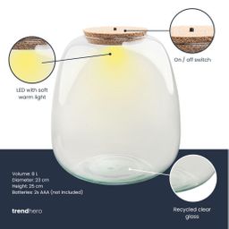 Terrarium fles met verlichting - Emma - Ø 23 cm ↑ 25 cm (8720872024448)