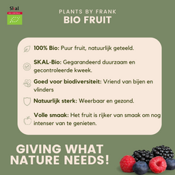 Plants by frank 6 x Biologische kiwiplanten - Ø 13 cm - ↨ 20 cm (8721001421220)