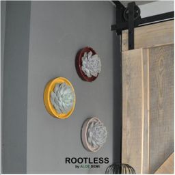 Rootless by aloe demi ROOTLESS Succulent Echeveria Pulidonis in schaal 'geel' Ø20 cm (8721001420131)