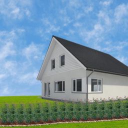 Plants by frank Grote Glansmispel planten voor 10 strekkende meter haag | - 12L - 20x | ↨ 125-150 cm - Carré Rouge (8721001420964)