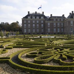 Buxus Haag - BetterBuxus Babylon Beauty - Resistant tegen de Buxus schimmel - 16 planten - 2 strekkende meter - pot 9cm hoogte 20-25 (8720862103535)