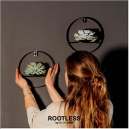 Rootless by aloe demi ROOTLESS Succulent Echeveria Lilacina op Muurdeco standaard zwart Ø20 cm (8721001420261)