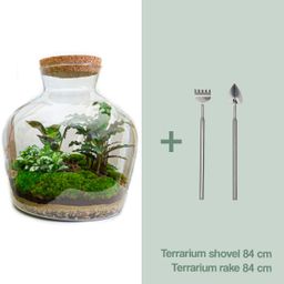 DIY Planten terrarium met licht - Fat Joe - Ø 29 cm ↑ 30 cm - Rake + Shovel (8720726958523)