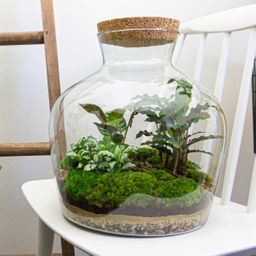 DIY Planten terrarium met licht - Fat Joe - Ø 29 cm ↑ 30 cm - Rake + Shovel (8720726958523)