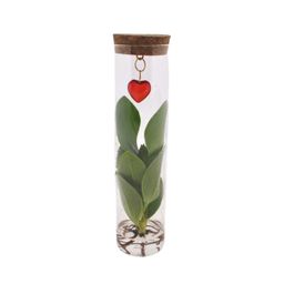 Mix In Tube Glas + Jewel (hartje) (53957)